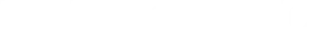 Logo SEGNO